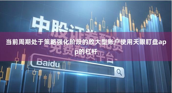 当前周期处于策略强化阶段的放大型账户使用天眼盯盘app的杠杆
