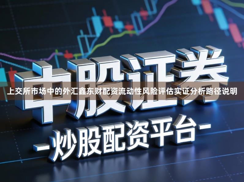 上交所市场中的外汇鑫东财配资流动性风险评估实证分析路径说明