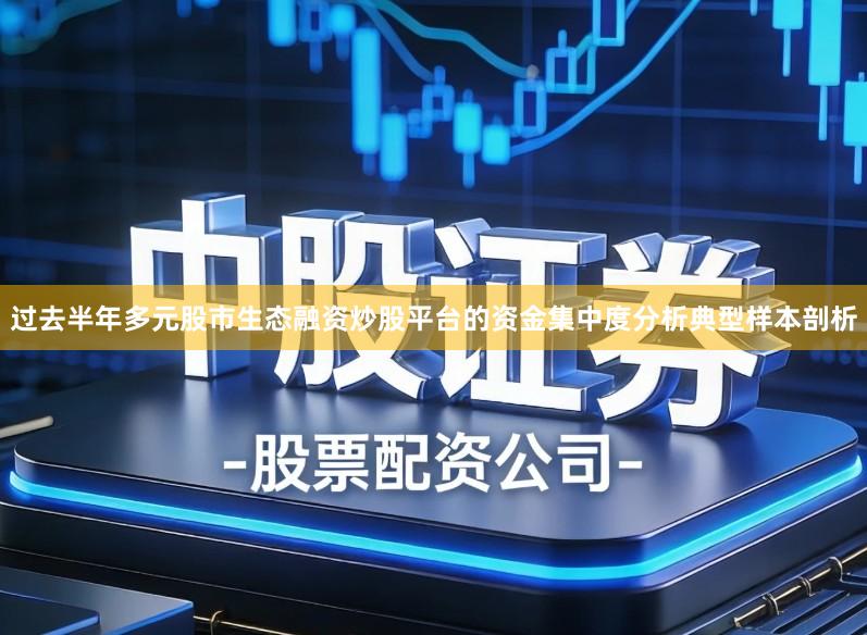 过去半年多元股市生态融资炒股平台的资金集中度分析典型样本剖析