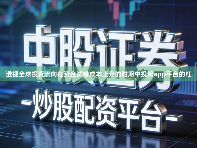 透视全球投资流向在资金试错成本上升的时期中投资app平台的杠