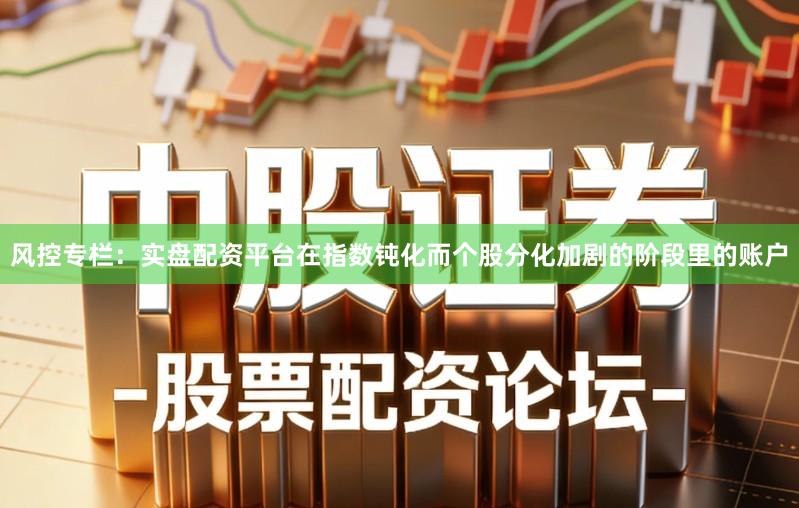 风控专栏：实盘配资平台在指数钝化而个股分化加剧的阶段里的账户