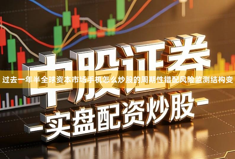 过去一年半全球资本市场手机怎么炒股的周期性错配风险监测结构变
