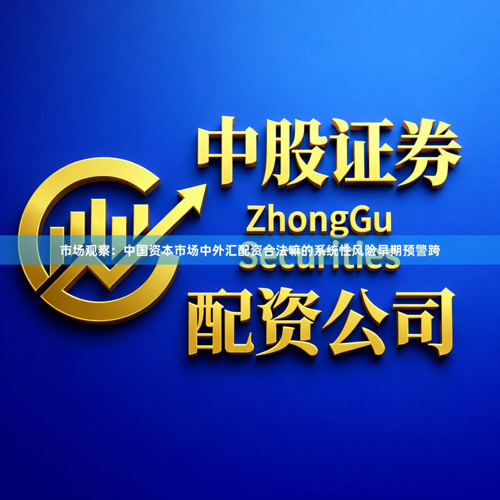 市场观察：中国资本市场中外汇配资合法嘛的系统性风险早期预警跨