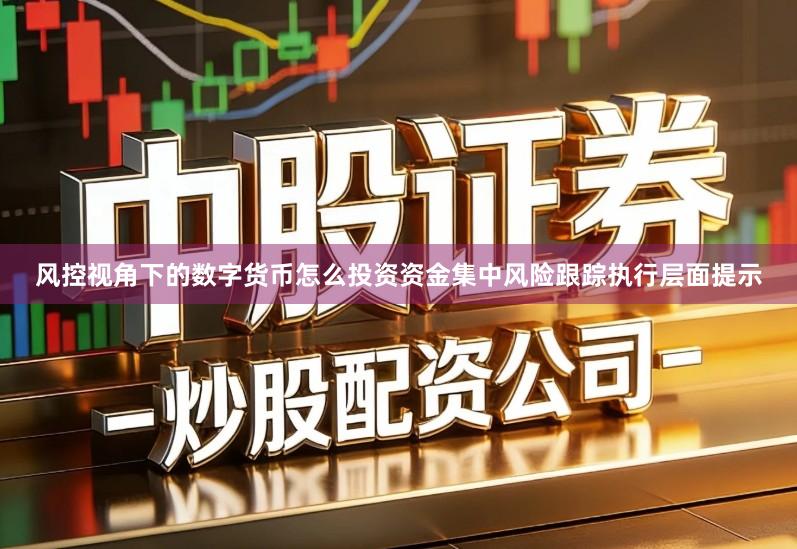 风控视角下的数字货币怎么投资资金集中风险跟踪执行层面提示